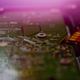 Image for article titled Shooting Challenge Freelensing Gallery 1